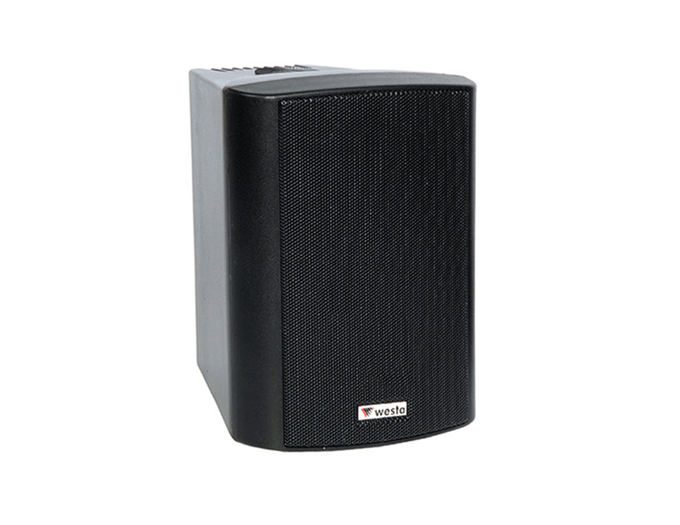 WS-4TB - 4" 10cm 100W  16Ohm/100v - Kabin Hoparlör - Siyah- IP65