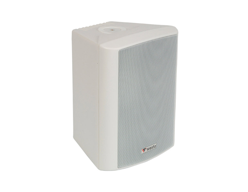 WS-5TW - 5,25" 125W  16Ohm/100v - Kabin Hoparlör - Beyaz - IP65