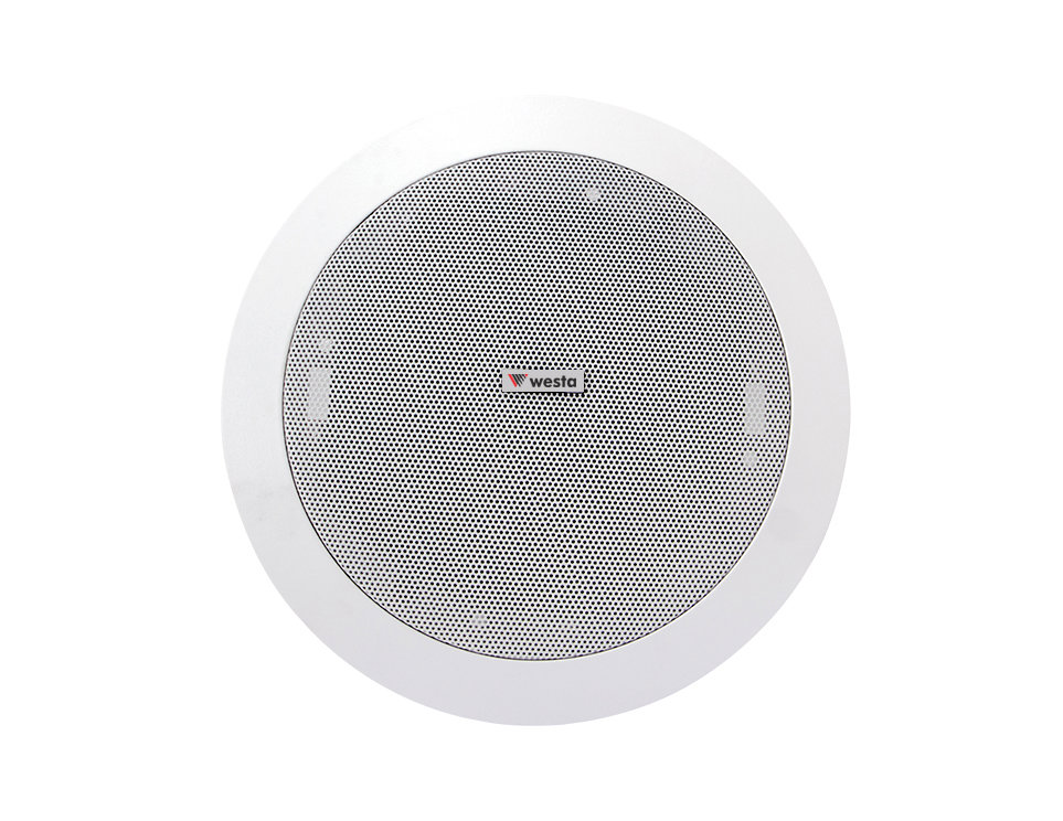 WS-509 - 5.25" 2 Yollu  Tavan Hoparlör