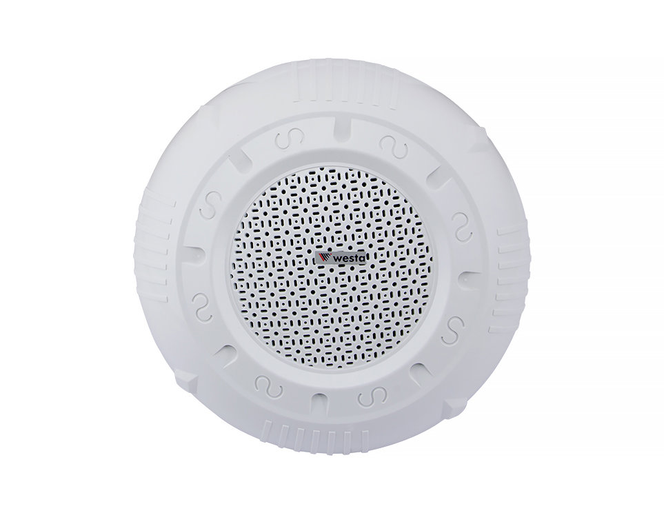 WS-1256T - 6,5" 16cm 8 Ohm Sıva Üstü Tavan Hoparlör