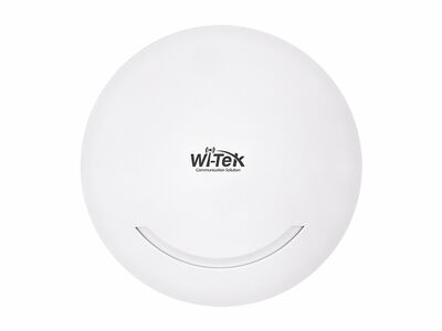 Wi-Tek - WI-AP210-Lite