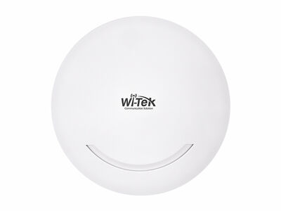 Wi-Tek - WI-AP216